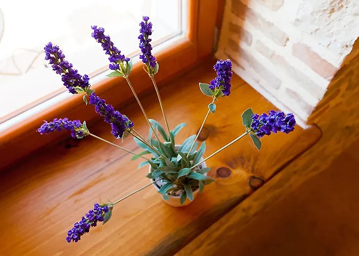 Ferienhaus Sunny House Dračevac